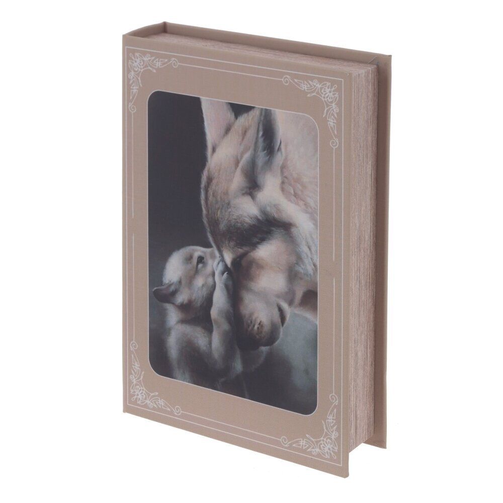 GAEM Шкатулка-книга, L16,5 W4,5 H26 см