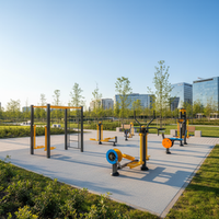 «Амират»: Сила улиц. Актуальный гид по выбору уличных тренажеров на 2026 год для любого бюджета