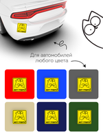 наклейка на авто Начинающий водитель