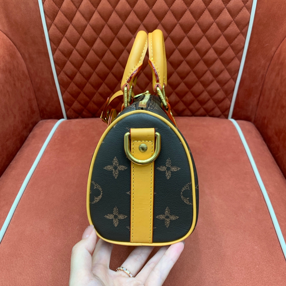 Louis Vuitton Keepall 25