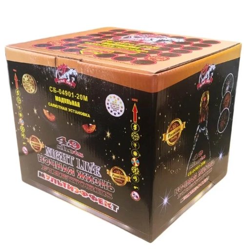 НОЧНАЯ ЖИЗНЬ