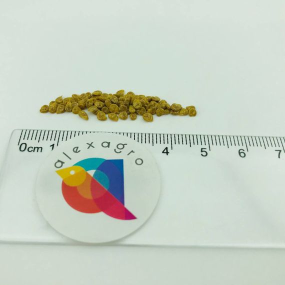 ПОЗЗАНО F1 семена томата (Enza Zaden | Alexagro) отзывы