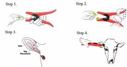 Клипсатор-Биркач для установки бирок в уши