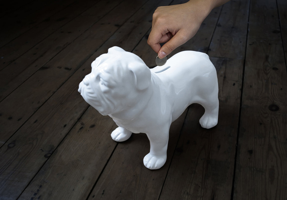 Копилка bull dog