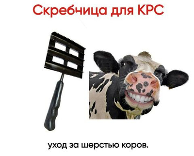 Скребница для КРС