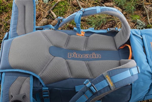 Искусство комфорта: Разбираем системы спинок рюкзаков Pinguin
