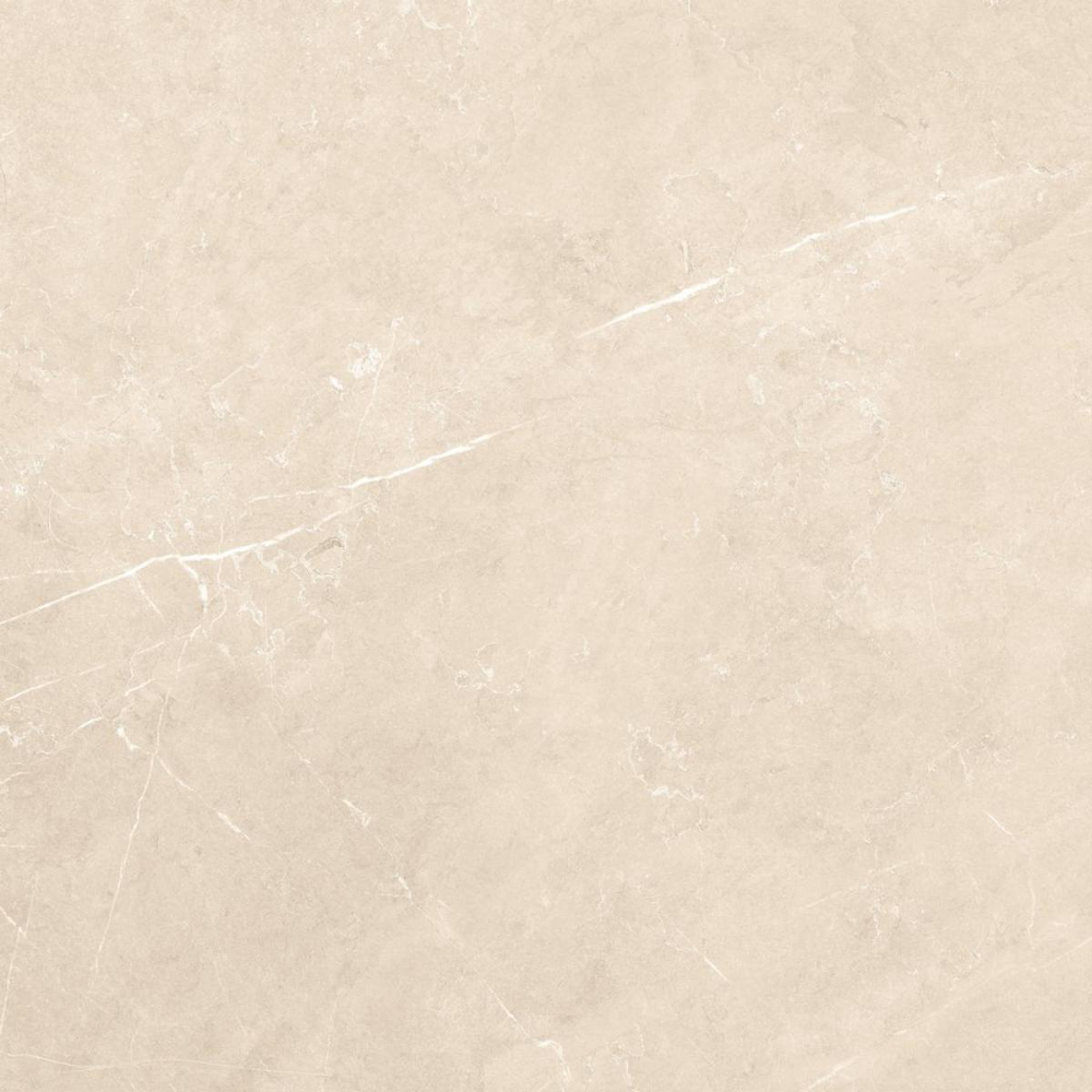 Керамогранит Sunny светло-бежевый 60*60 GT60601807MR