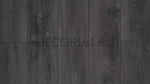Сосна Мессина LM20