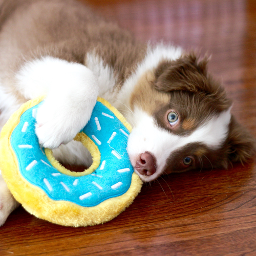 Игрушка Donutz Черничный ZippyPaws