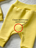 Костюм (джемпер, штанишки)
