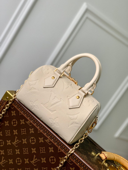 Louis Vuitton Speedy 20