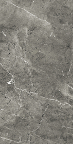 Керамогранит, Arcadia Ceramica, FLORENCIA GREY, 1200x600 мм, полированная