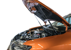 Газовые упоры капота Rival для Nissan X-Trail T32 2015-2018 2018-н.в., 2 шт., A.ST.4113.1