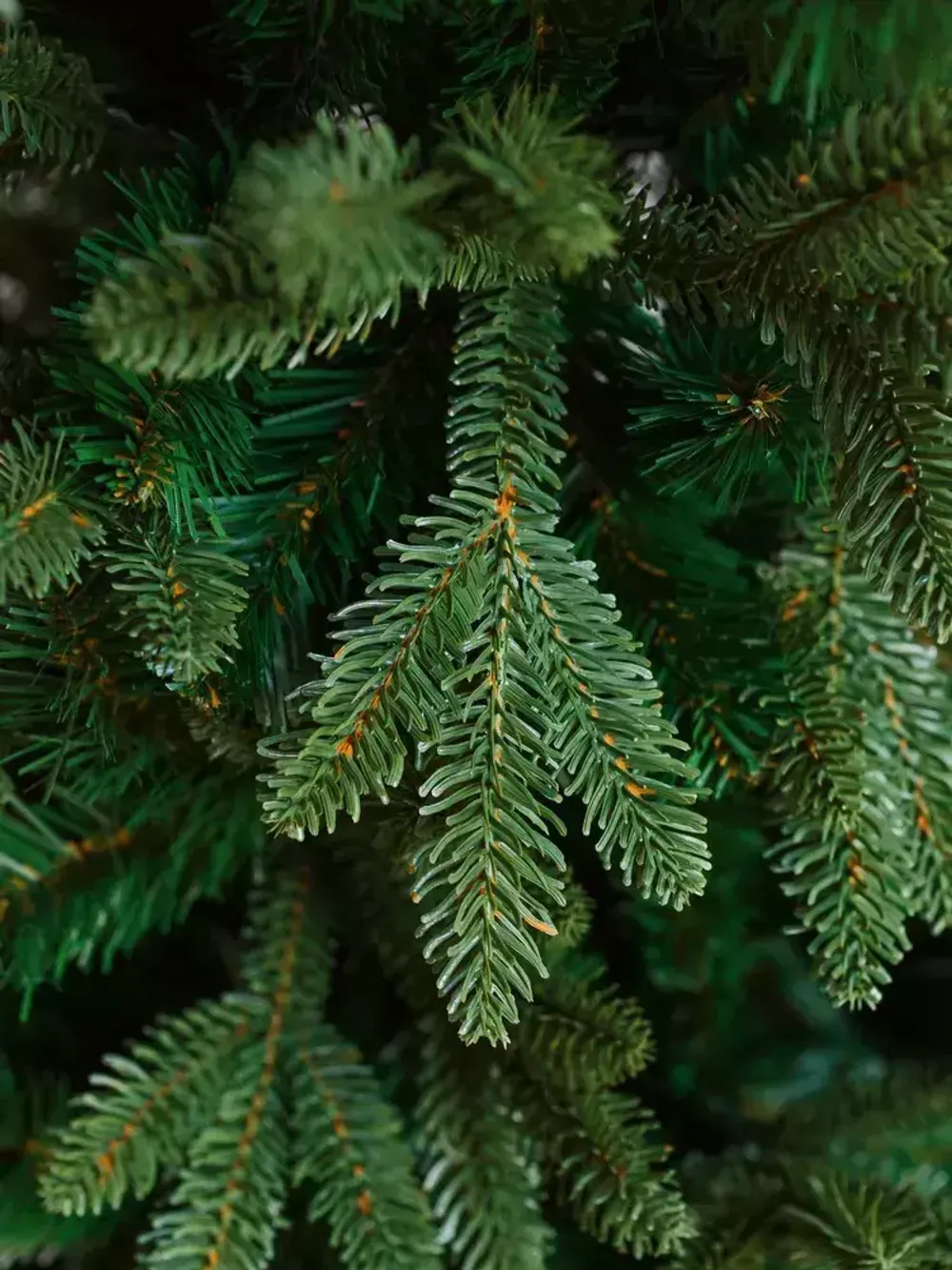 Искусственная ель «Барокко» (Литая+пвх) 240 см / 2.4 м