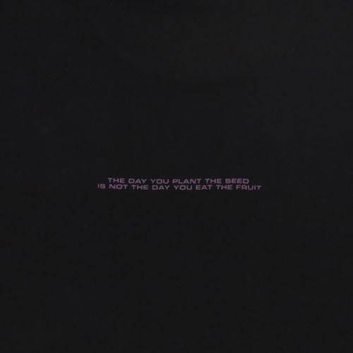 Футболка мужская Carhartt WIP Seeds артикул:I031028 - купить в магазине Дайс