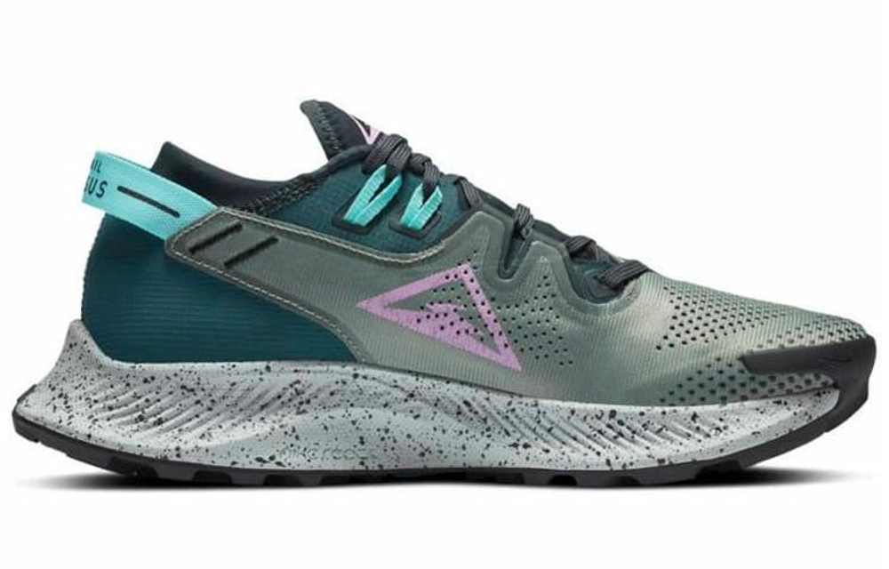 Кроссовки Nike Pegasus Trail 2 (Женская размерная сетка)