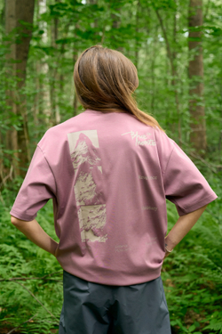 Футболка Nothomme Blue Retro Mountain Print Coolmax Pro T-Shirt "Gray Rose"