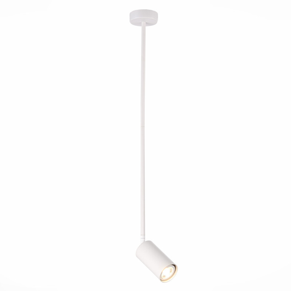 Светильник на штанге ST-Luce SL1206.503.01