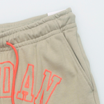 Шорты Jordan, HJ6543-247