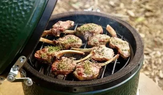 Гриль угольный Big Green Egg Mini EGG