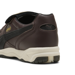 Мужские кроссовки PUMA King Indoor