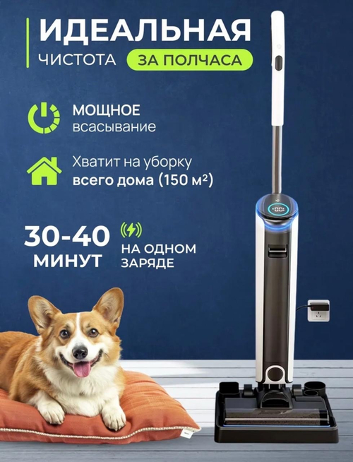 Моющий пылесос