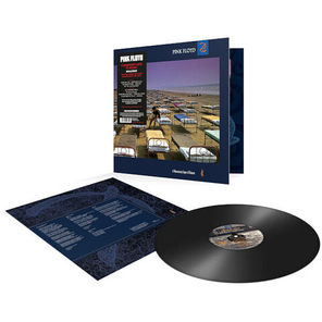 Pink Floyd / A Momentary Lapse Of Reason (LP)