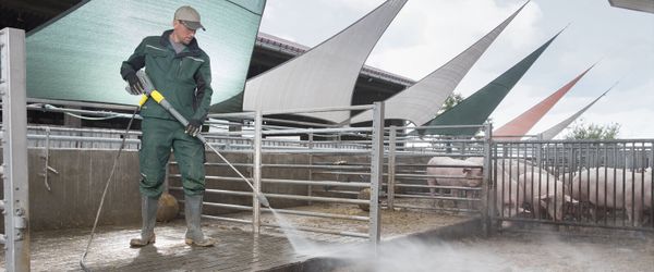 Уборка и дезинфекция в свинарниках Уборка и дезинфекция в свинарниках