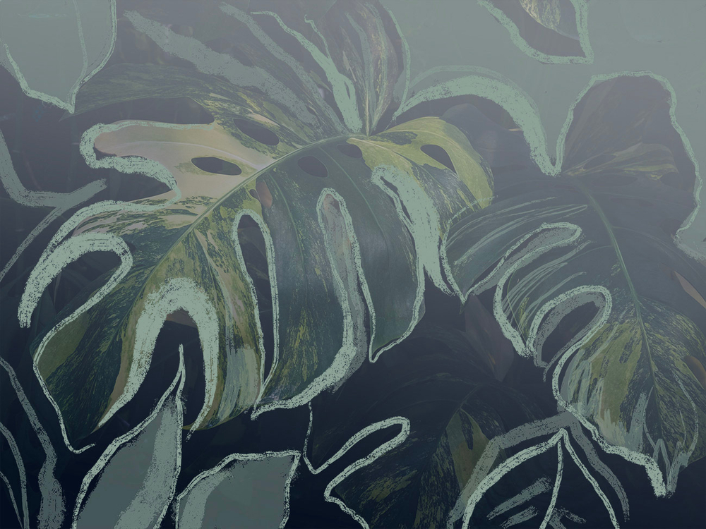 Дизайнерские обои Wall Street GreenDay-22