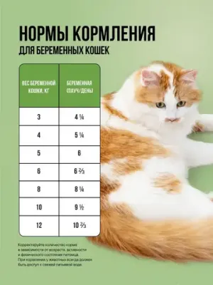 Пауч кусочки в соусе для котят и беременных кошек, с ягненком и овощами