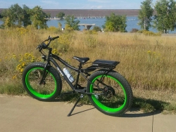 Электрофэтбайк El-sport bike TDN-01 500W