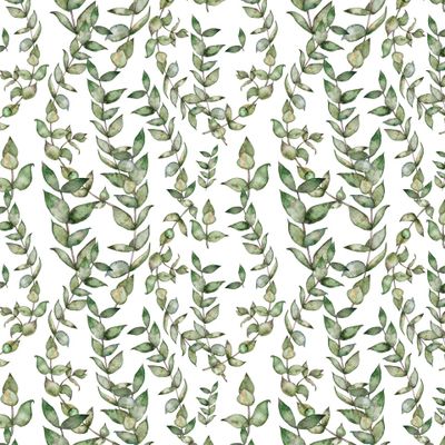 акварельный зеленый эвкалипт на белом