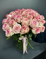 Палома 31 + доставка