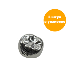 Второй нижний левый моляр, размер 4 (E-LL-4)