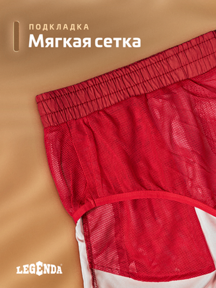 Шорты плавки Gradient LEGENDA укороченные терракотовый