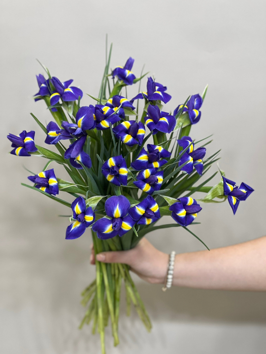 Букет 21 ирис в ленте