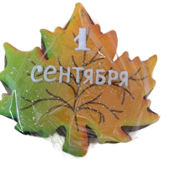 WhatsApp Image 2025-08-16 at 17_51_05-no-bg-preview (carve.photos)