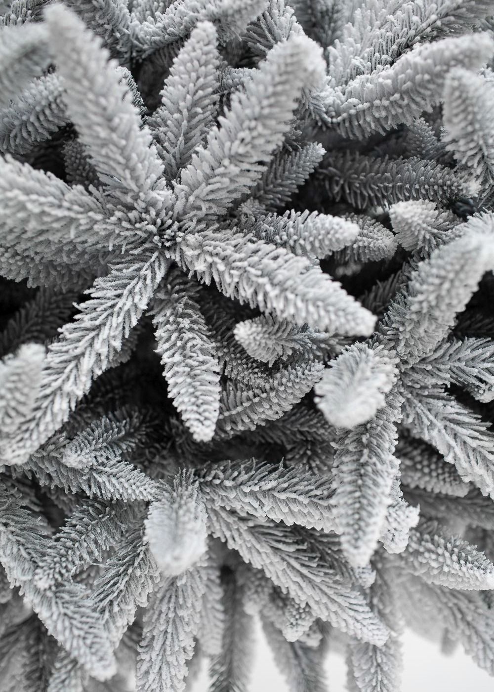 Заснеженная елка «Скандинавия» (Литая хвоя) от 1.8 до 2.1 м