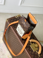 Louis Vuitton Milk Bag