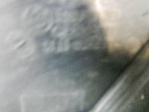 Бампер передний BMW 5er G30 (2020-2023) M-paket