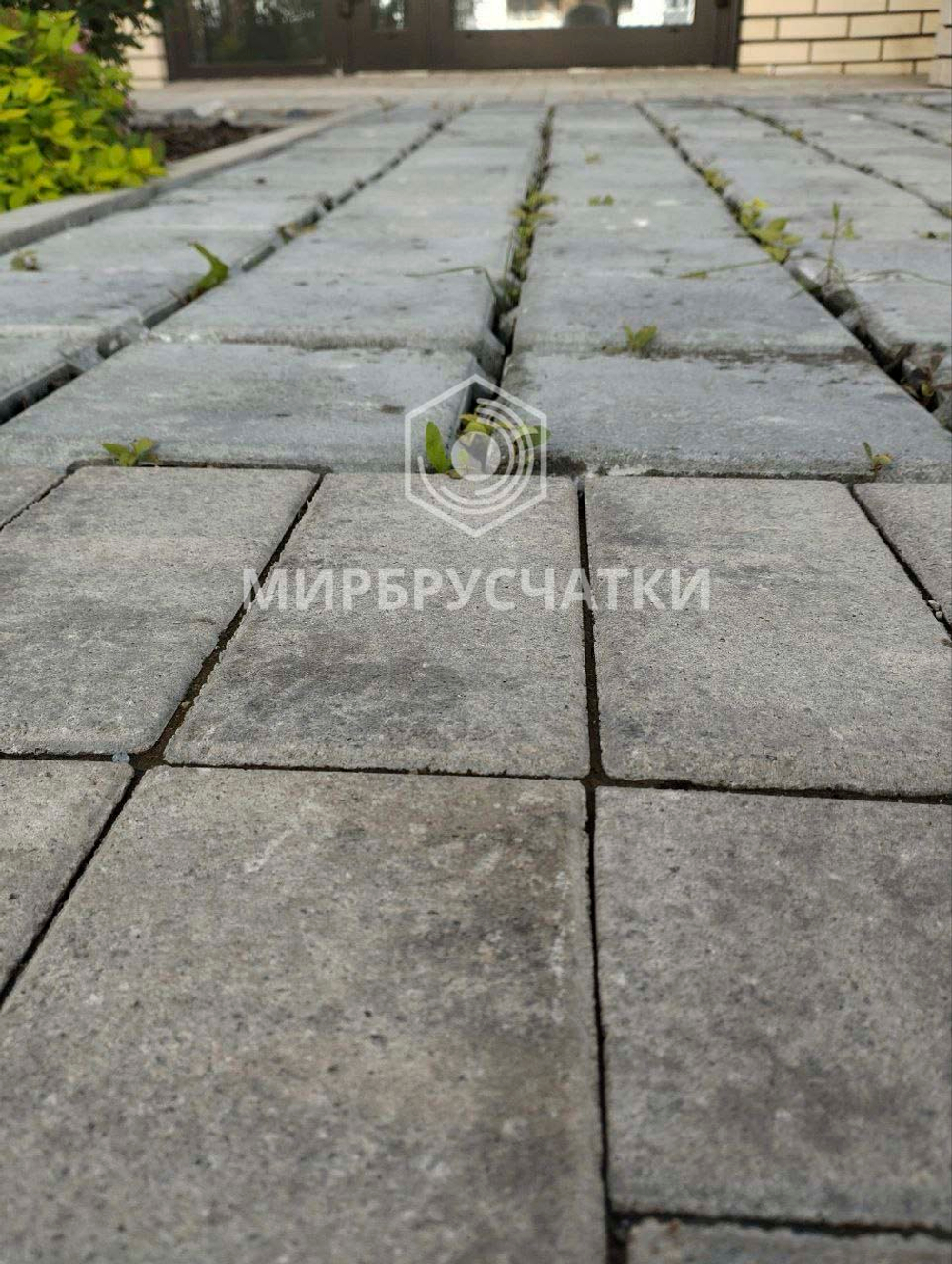 Современник, дом на Некрасова, г. Новосибирск