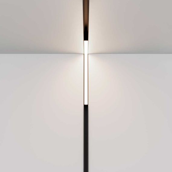 Трековый светодиодный светильник Maytoni Technical Magnetic Exility Basis TR102-24W4K-B