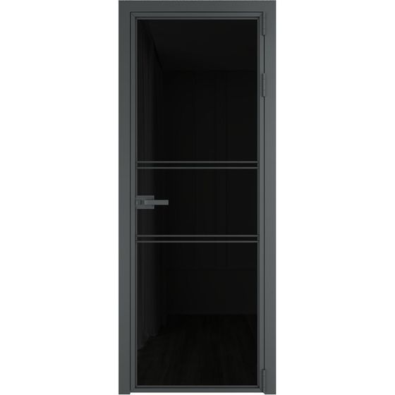 Алюминиевая дверь 2AХ серая ночь стекло чёрный триплекс