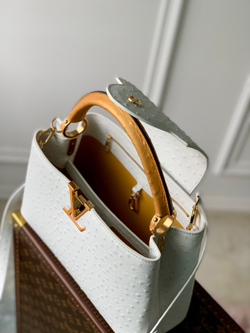 Louis Vuitton Capucines MM