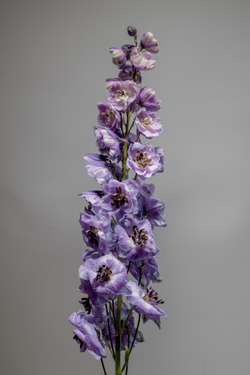 ДЕЛЬФИНИУМ Mix