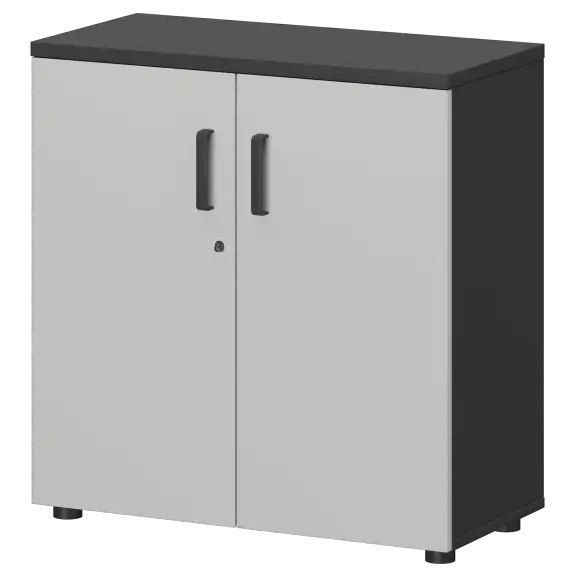 Шкаф СМШ-28Д Тип1  792x380x835 Смарт