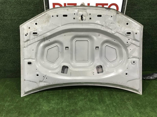 Капот Nissan Terrano 3 (2014-2022)