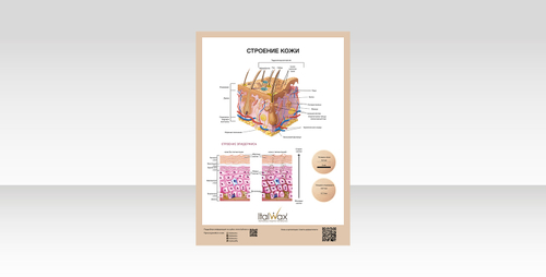 ПЛАКАТЫ ДЛЯ УЧЕБНЫХ СТУДИЙ