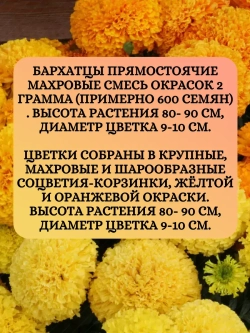 Семена Бархатцы прямостоячие махровые смесь окрасок 2 грамм