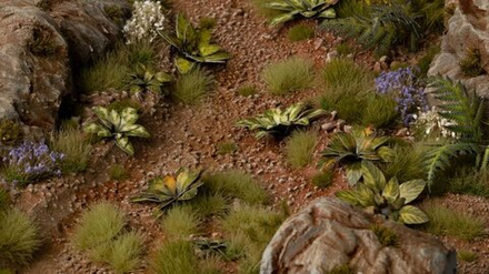 GGLP-DC  Laser Plants - Dumb Cane